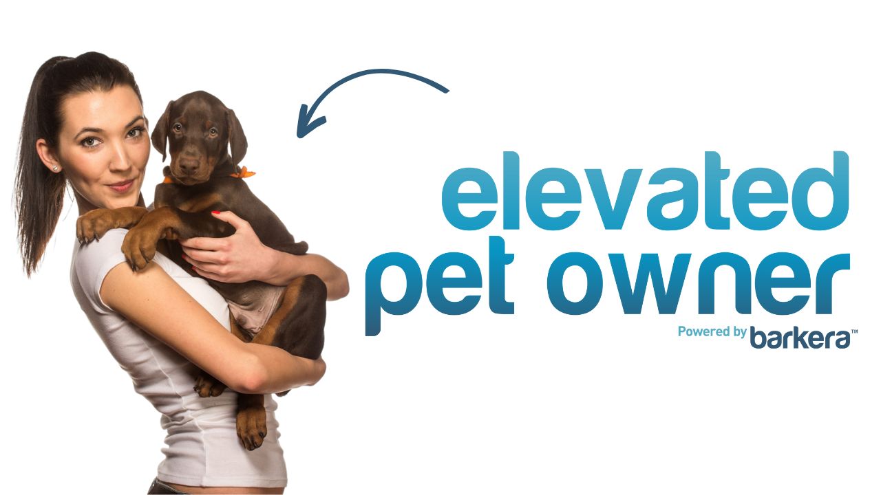 Barkera Elevated Pet Owner – Intro Course